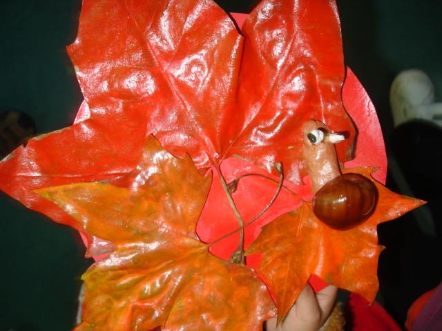 DSC04204