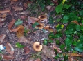 VIEW PICTURE - 2816 x 2112px - 2903kB