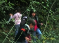 VIEW PICTURE - 2816 x 2112px - 2585kB
