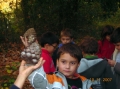 VIEW PICTURE - 2816 x 2112px - 2399kB