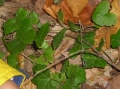 VIEW PICTURE - 2816 x 2112px - 2640kB
