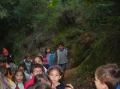 VIEW PICTURE - 2816 x 2112px - 2595kB