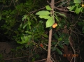 VIEW PICTURE - 2816 x 2112px - 2485kB
