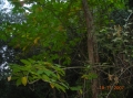 VIEW PICTURE - 2816 x 2112px - 2459kB