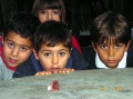 VIEW PICTURE - 2816 x 2112px - 2361kB