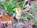 VIEW PICTURE - 2816 x 2112px - 2477kB
