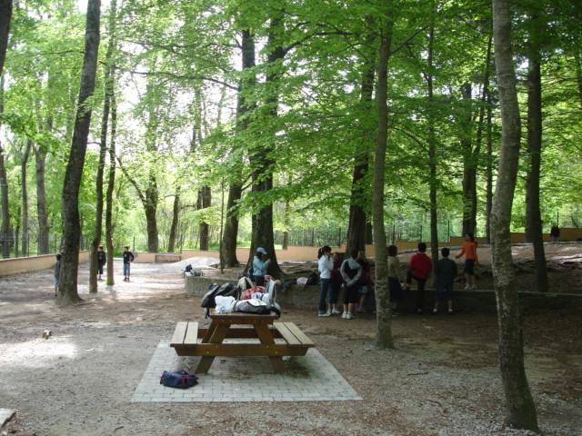 DSC05418.JPG