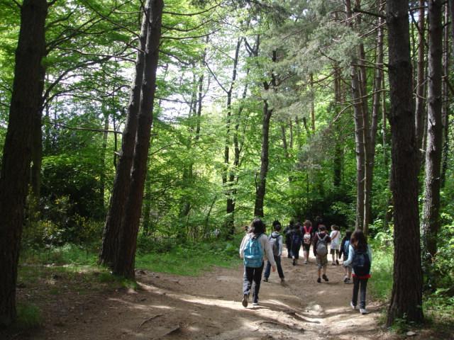DSC05425.JPG