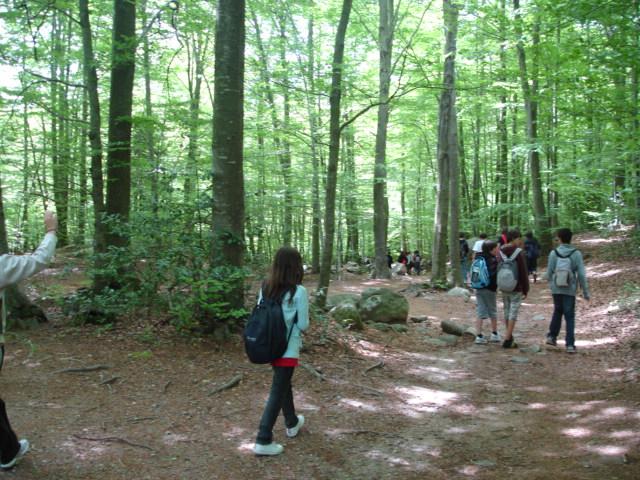 DSC05426.JPG