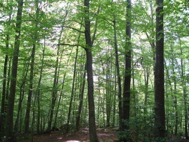 DSC05427.JPG