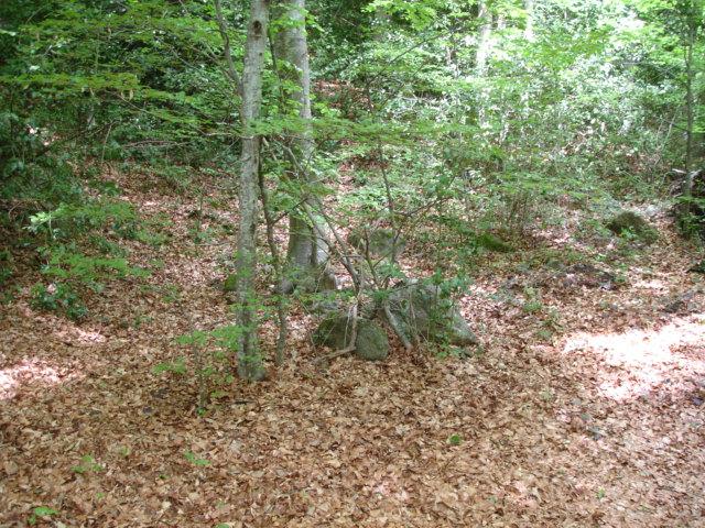 DSC05428.JPG