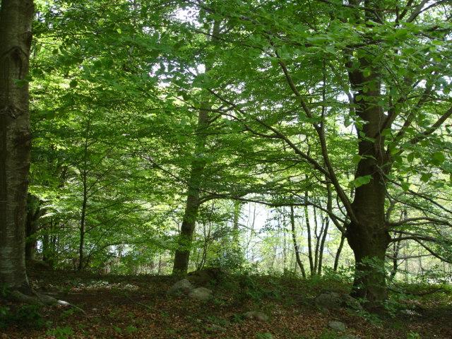 DSC05434.JPG
