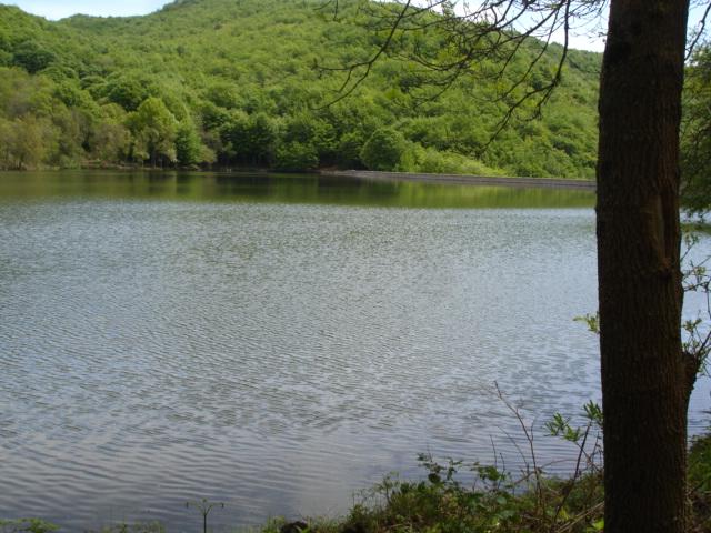 DSC05437.JPG
