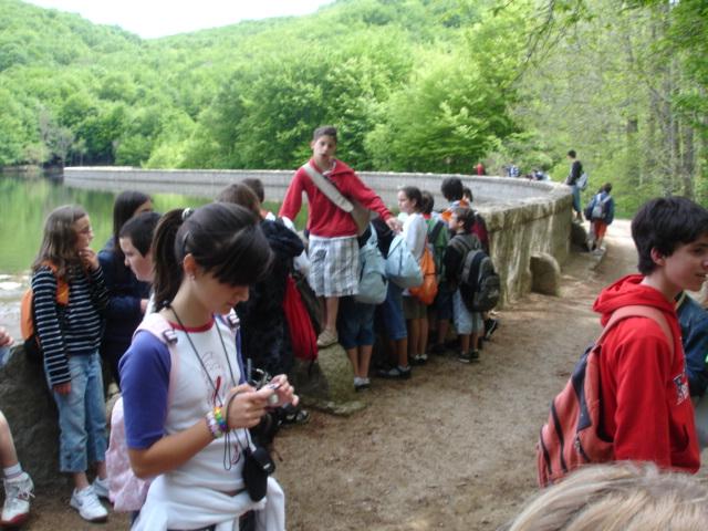 DSC05442.JPG