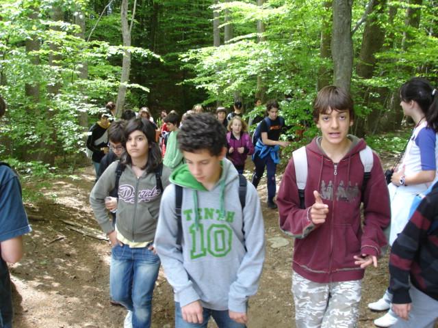 DSC05446.JPG
