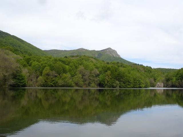 DSC05448.JPG