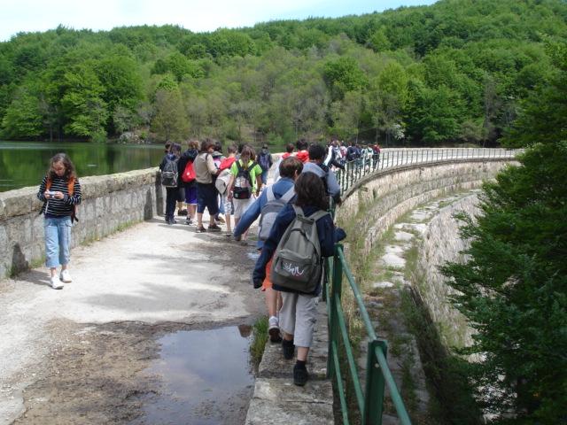 DSC05449.JPG