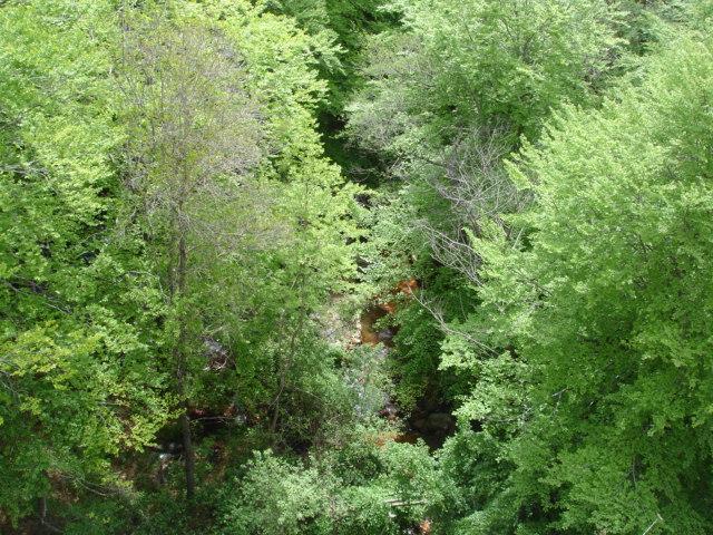 DSC05452.JPG
