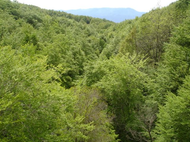 DSC05453.JPG