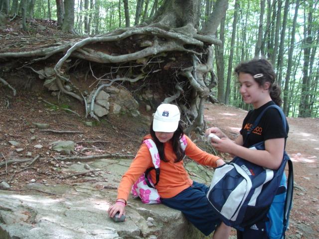 DSC05456.JPG