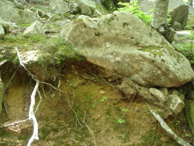 DSC05461.JPG