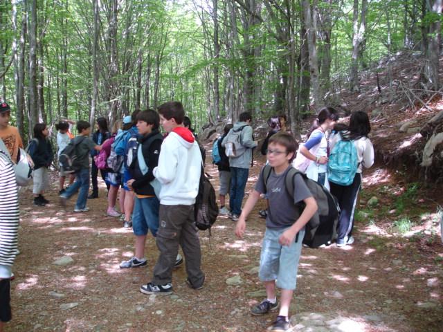 DSC05465.JPG