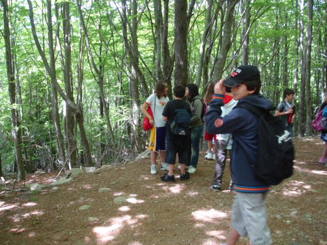 DSC05466.JPG