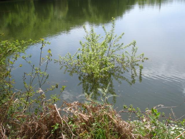 DSC05473.JPG