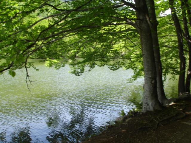 DSC05475.JPG