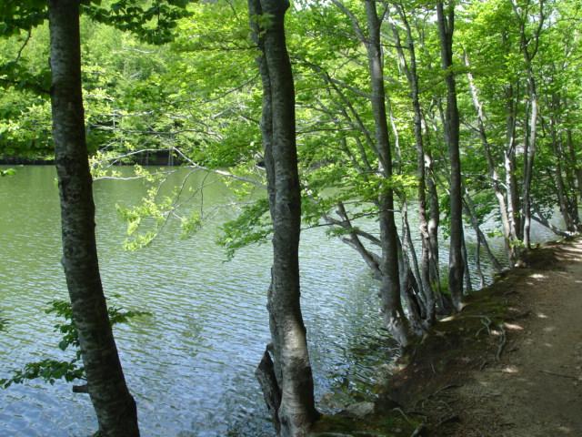 DSC05476.JPG