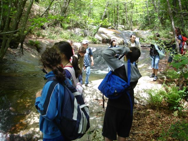 DSC05480.JPG