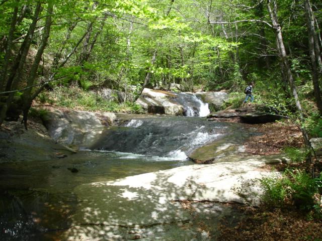DSC05482.JPG
