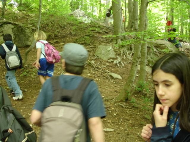 DSC05485.JPG