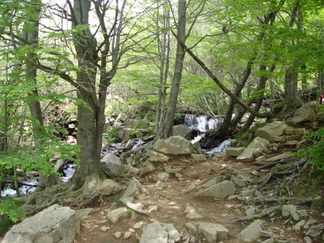 DSC05492.JPG