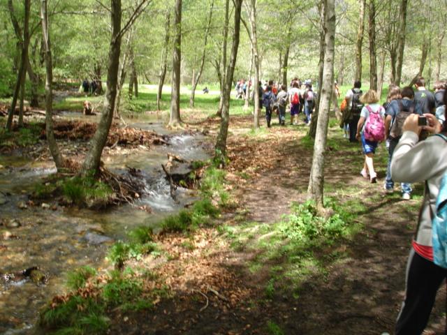 DSC05493.JPG