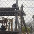 DSC05184