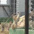 DSC05190
