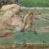 DSC05191