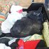 DSC05201