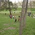 DSC05227
