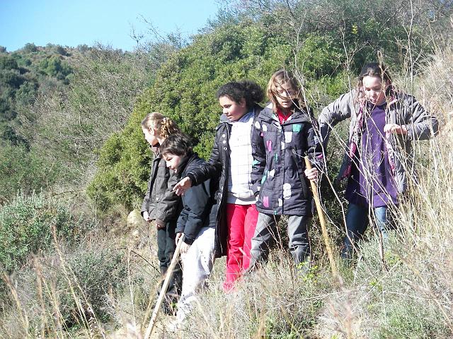 100_9913.JPG