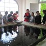 IMG_4528