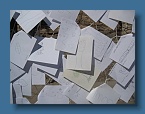 IMG_1017