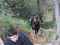 IMG_3011