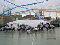 IMG_0232