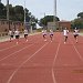 IMG_0308-1